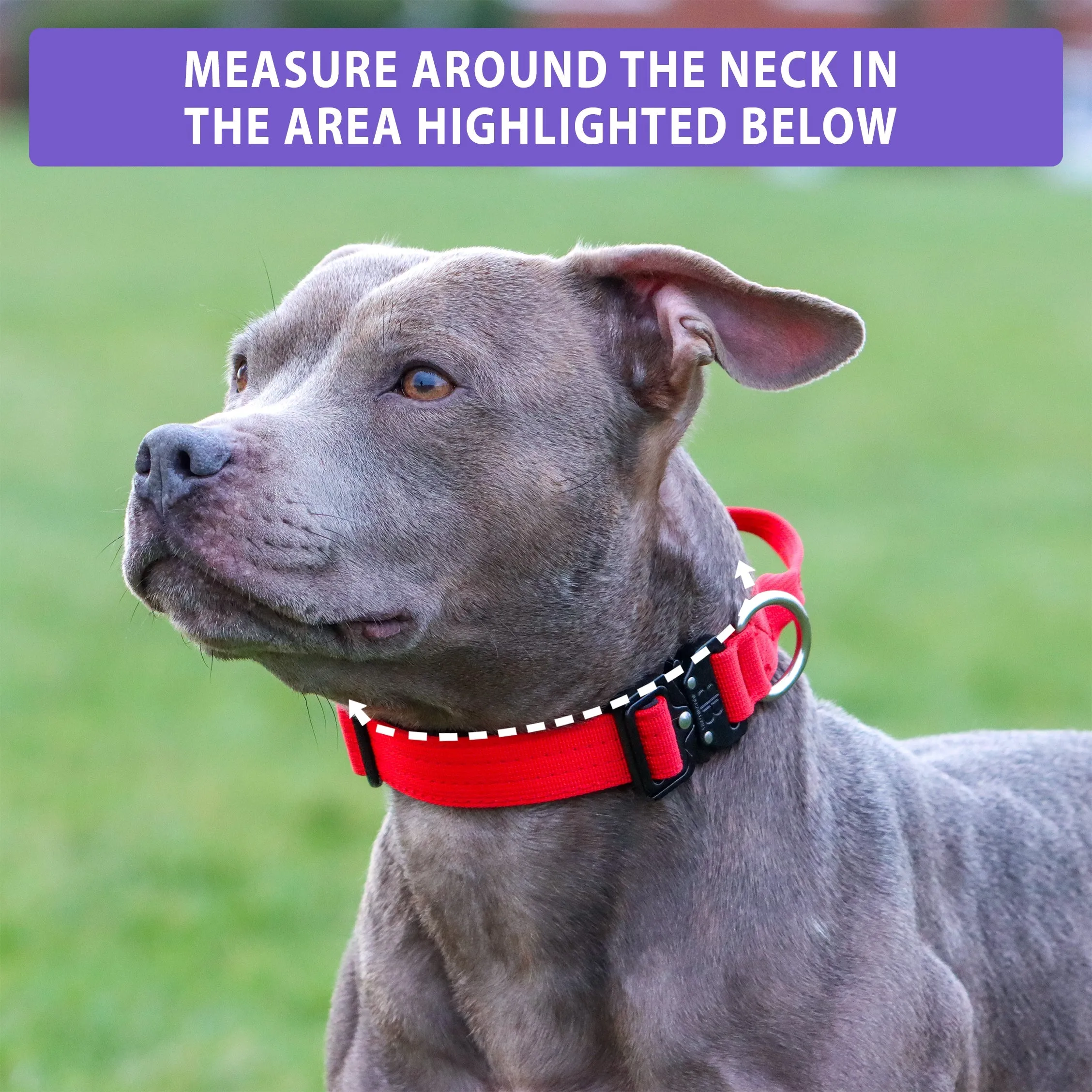 2.5cm Combat® Collar | With Handle & Rated Clip - Metal Grey