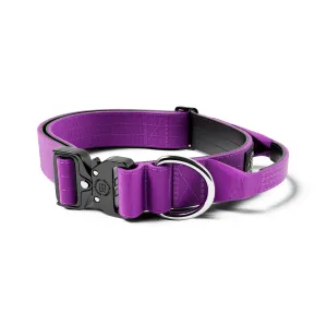 4cm Combat® Collar | Handle & Rated Clip - Purple