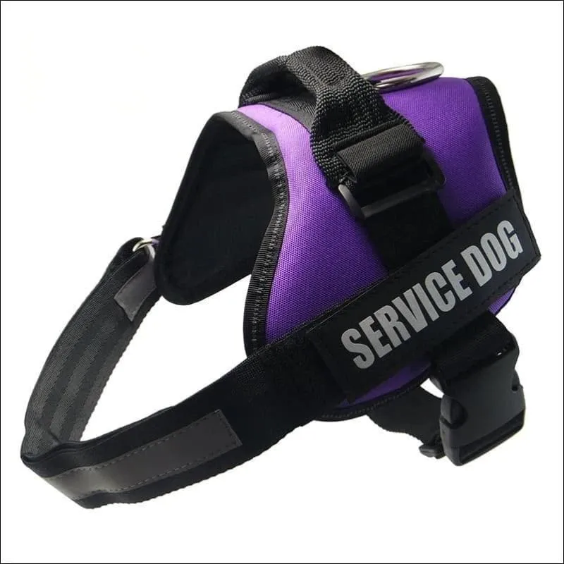 All-In-One No Pull Dog Harness