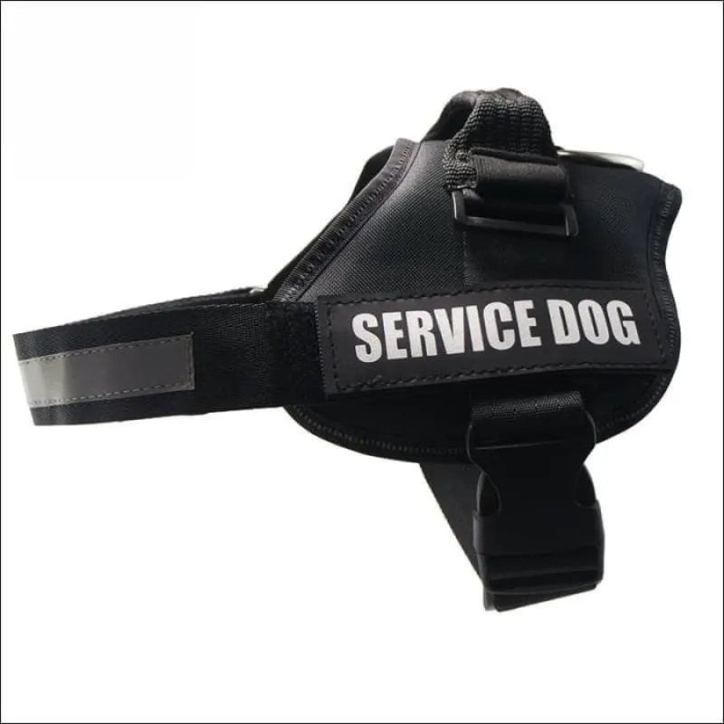 All-In-One No Pull Dog Harness