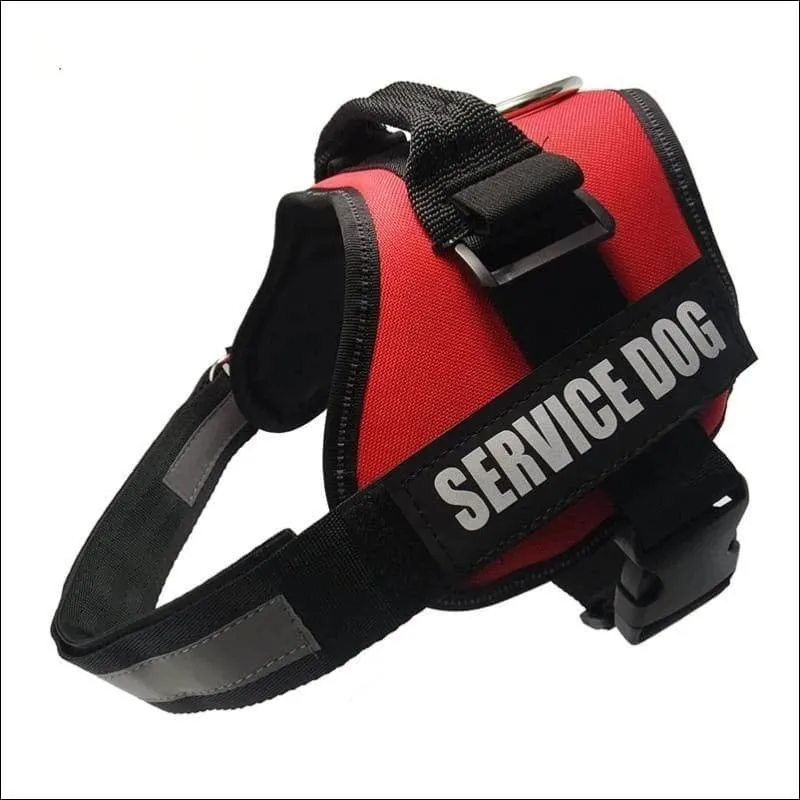 All-In-One No Pull Dog Harness