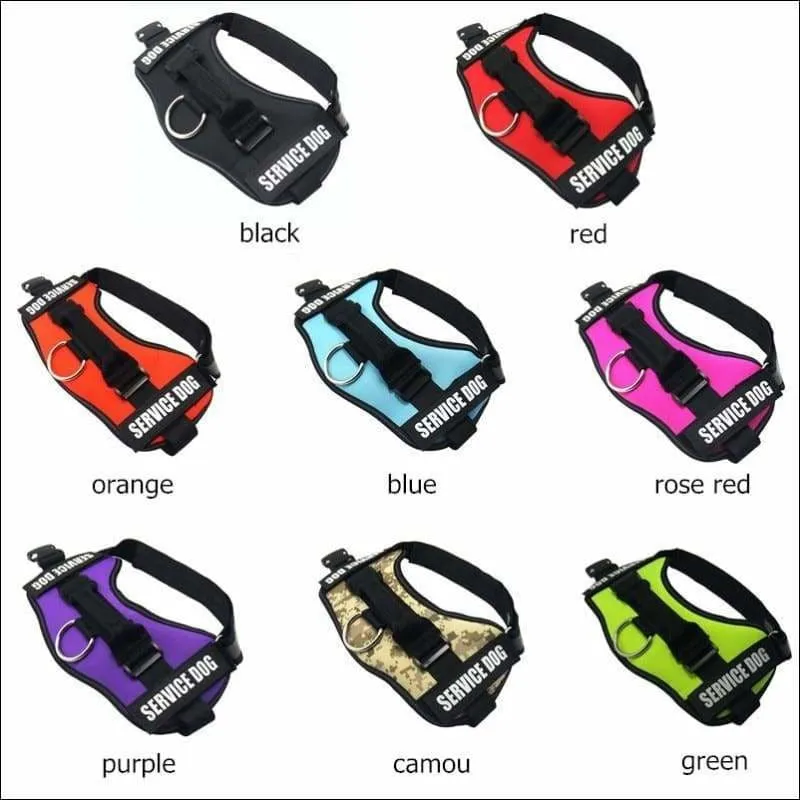 All-In-One No Pull Dog Harness