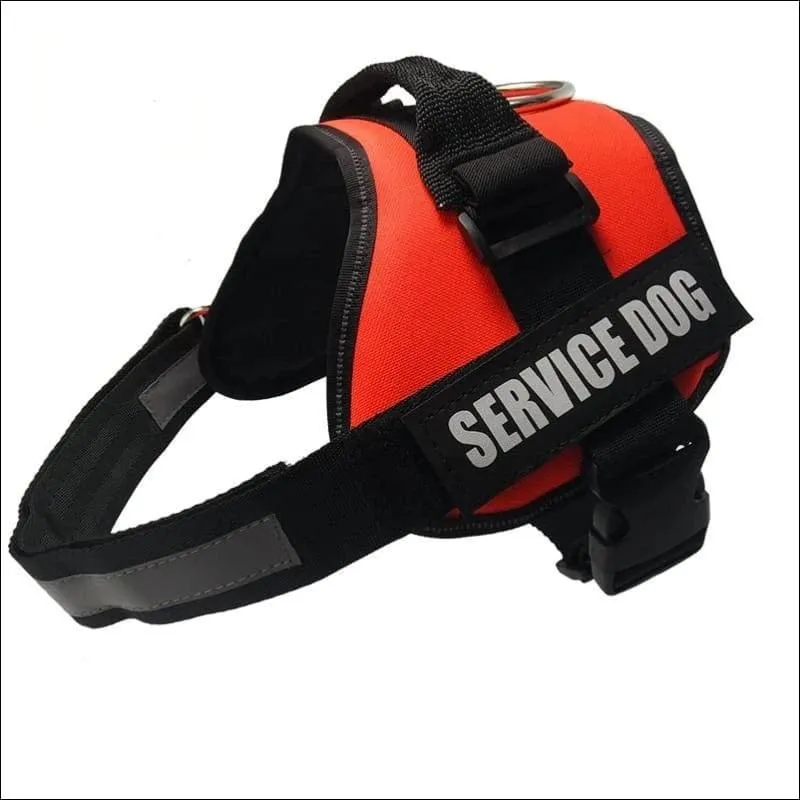 All-In-One No Pull Dog Harness