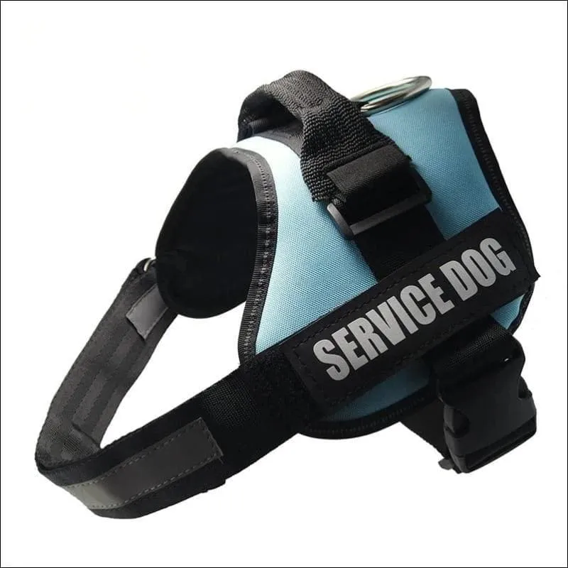 All-In-One No Pull Dog Harness