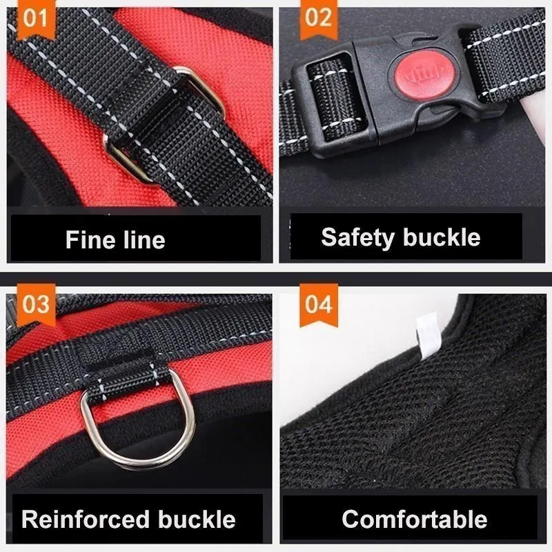 Explosion-Proof Harness for Dogs or Cats