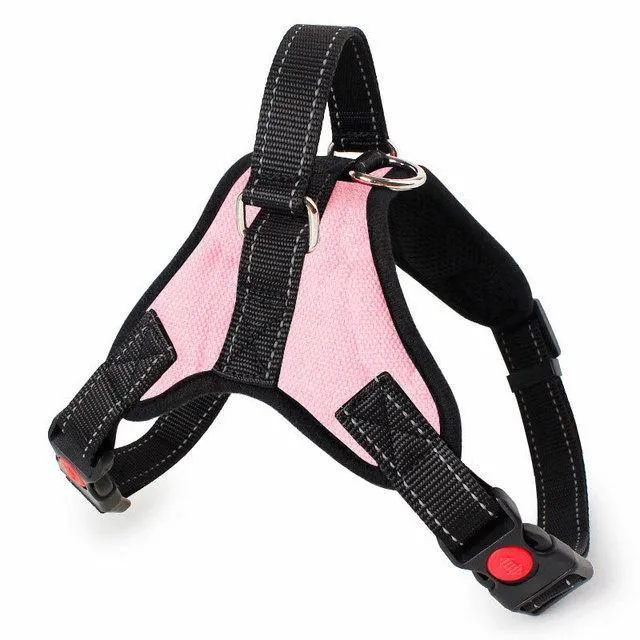 Explosion-Proof Harness for Dogs or Cats