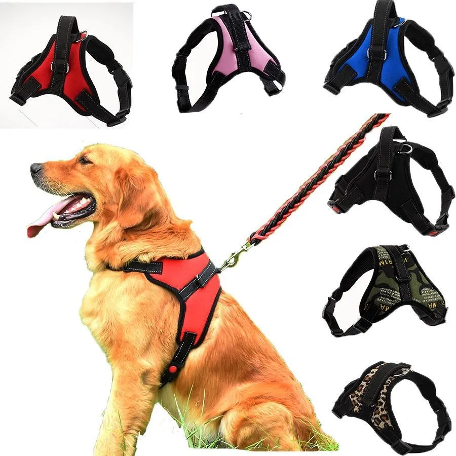 Explosion-Proof Harness for Dogs or Cats