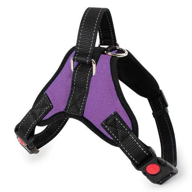 Explosion-Proof Harness for Dogs or Cats