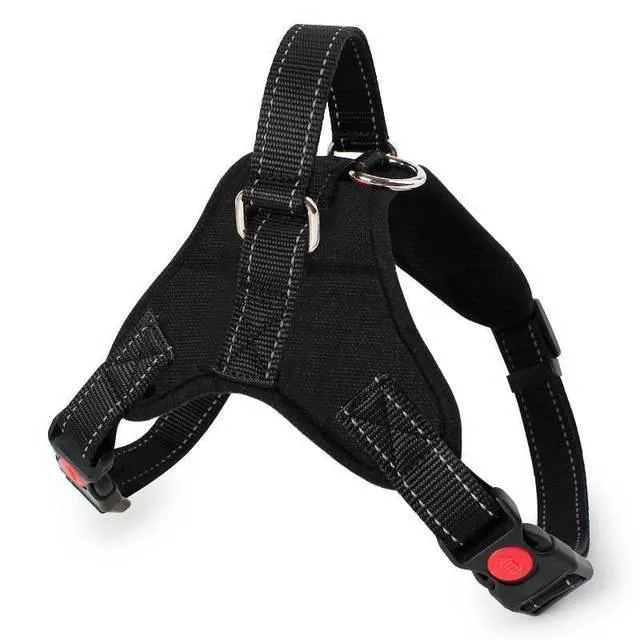 Explosion-Proof Harness for Dogs or Cats