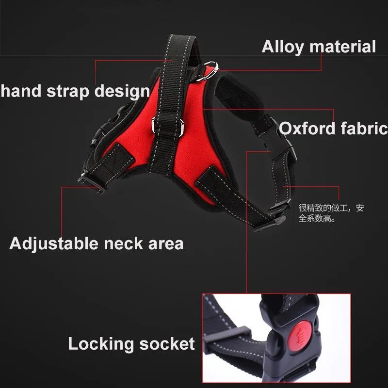 Explosion-Proof Harness for Dogs or Cats