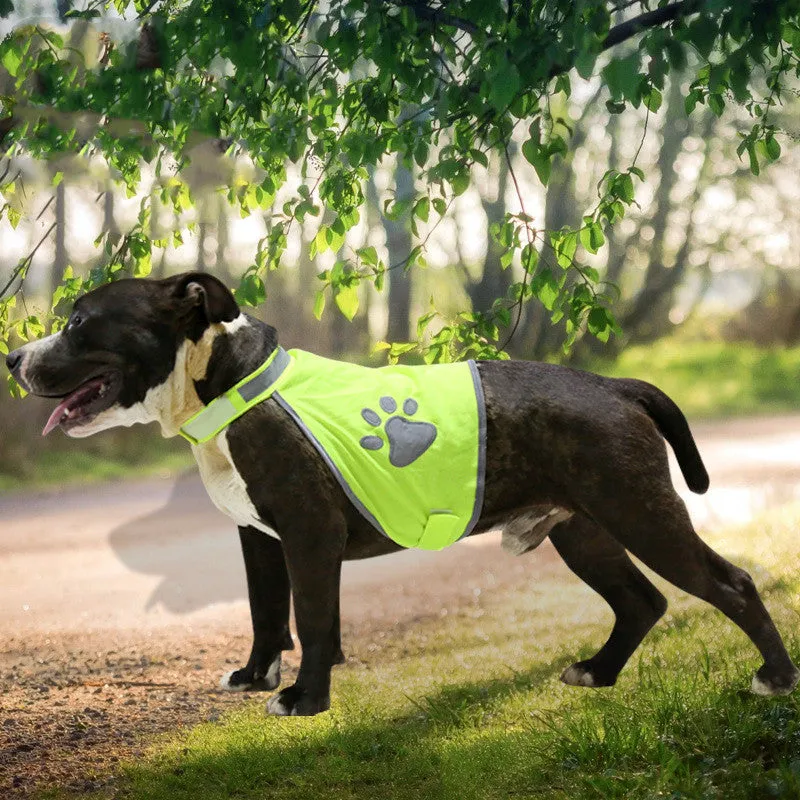 Fluorescent Lightweight Safety Vest for Dogs