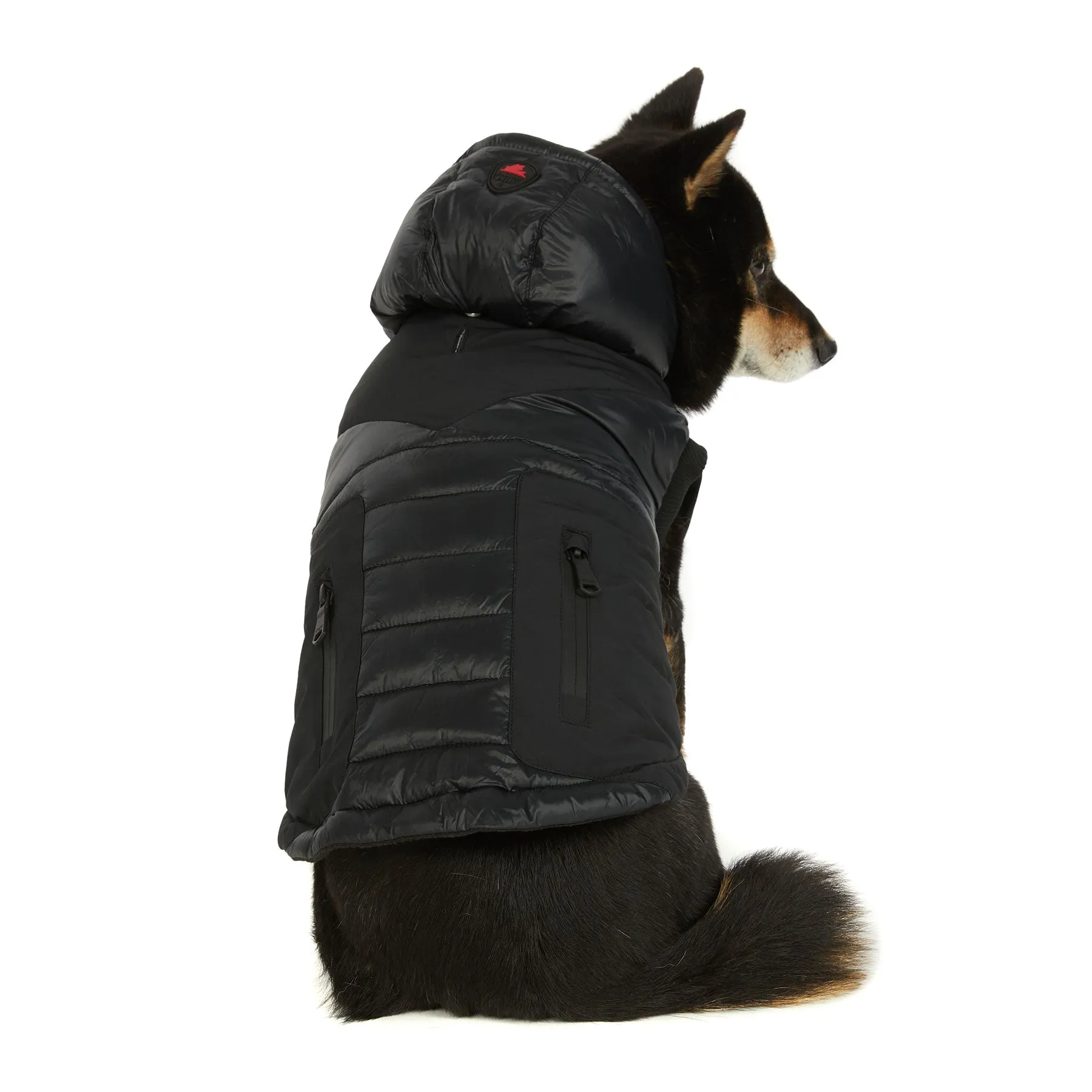 Mattie Jacket for Dogs