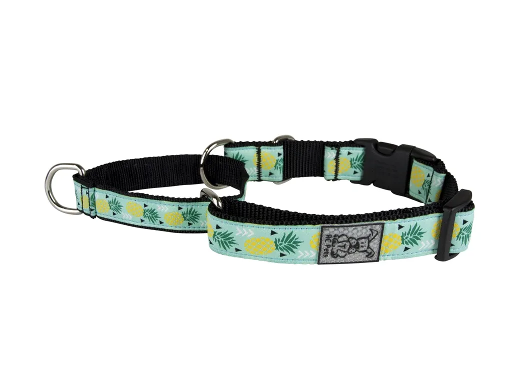 RC Pets Easy Clip Web Training Collar