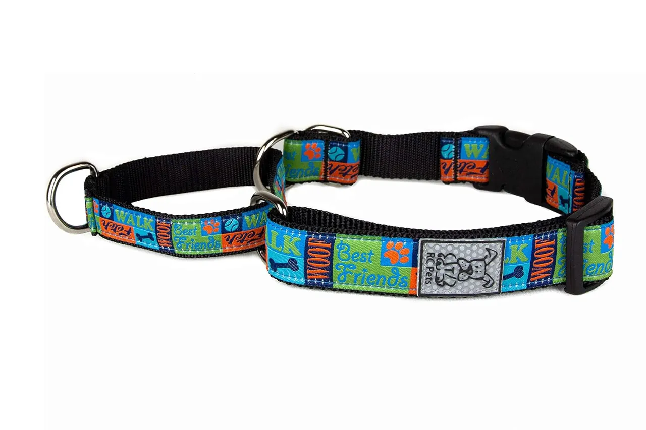 RC Pets Easy Clip Web Training Collar