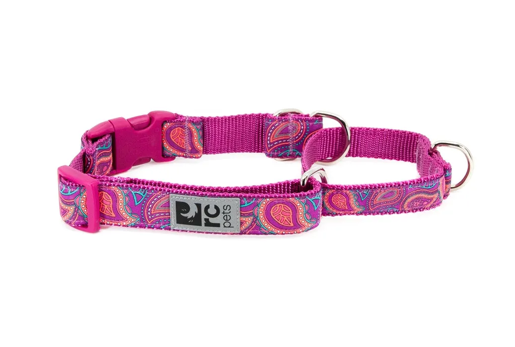 RC Pets Easy Clip Web Training Collar