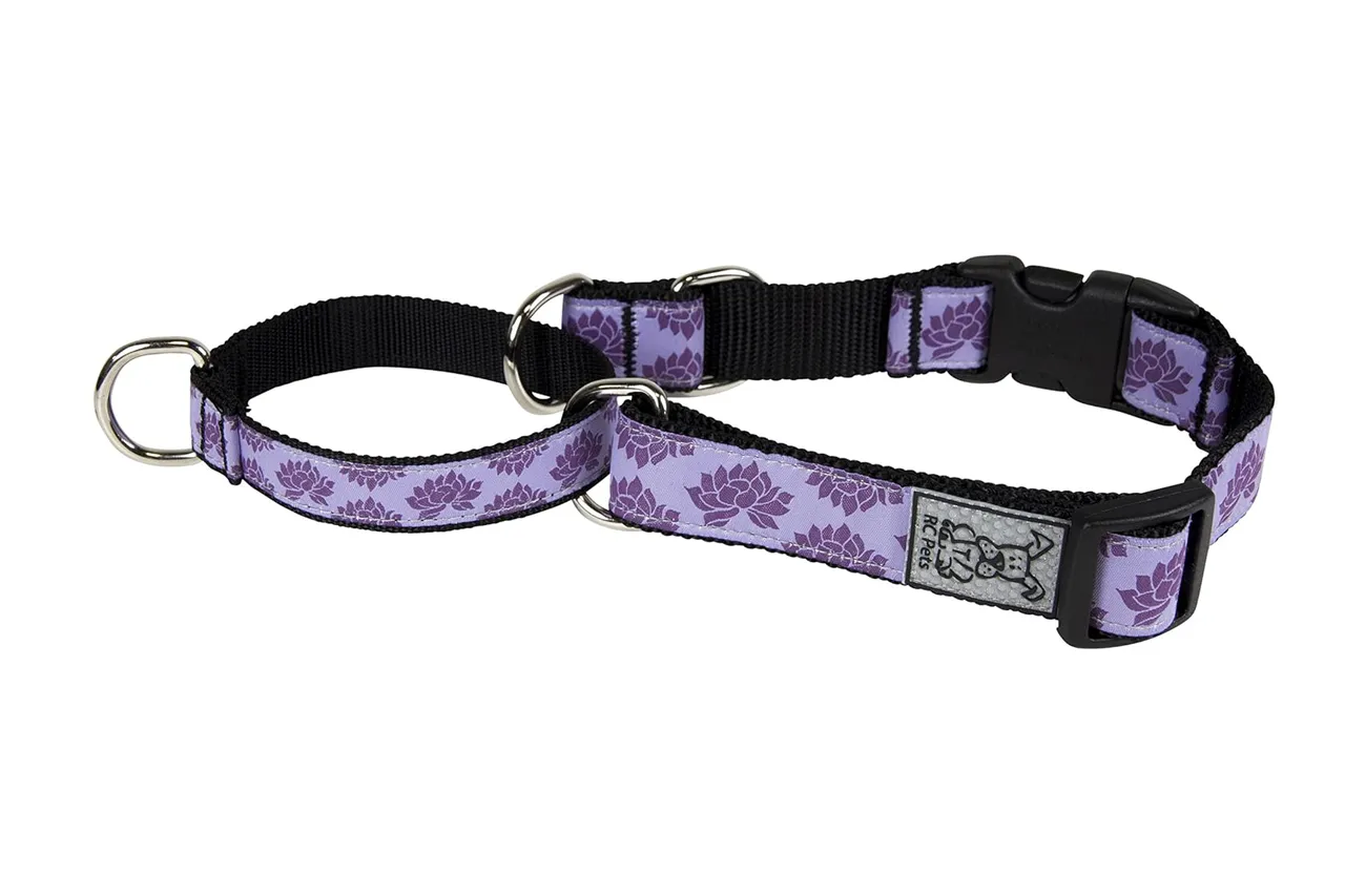 RC Pets Easy Clip Web Training Collar