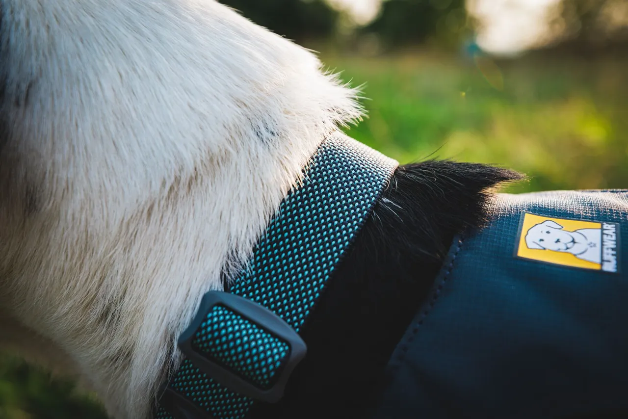 Ruffwear Dog Lightweight Harness: Hi & Light