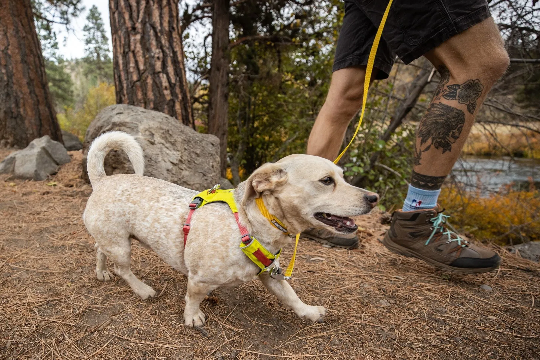 Ruffwear Dog Lightweight Harness: Hi & Light