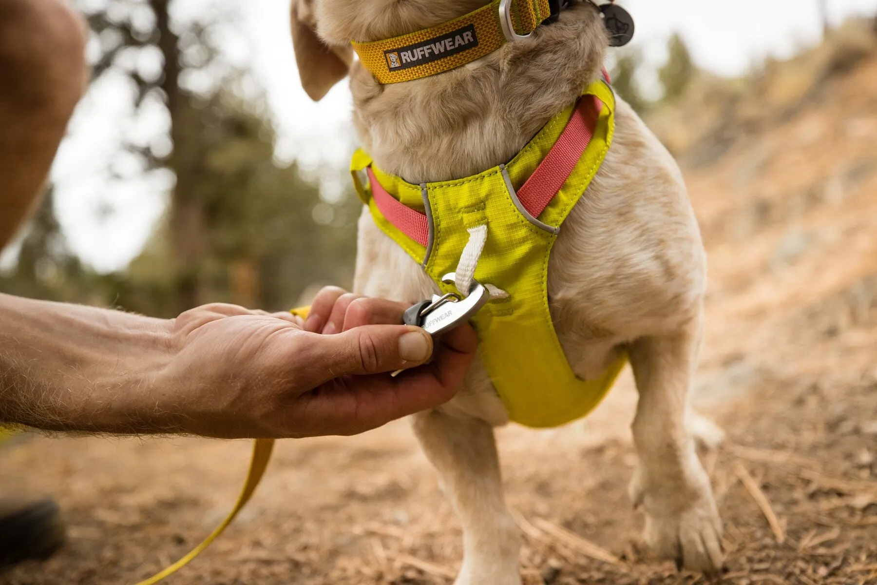 Ruffwear Dog Lightweight Harness: Hi & Light