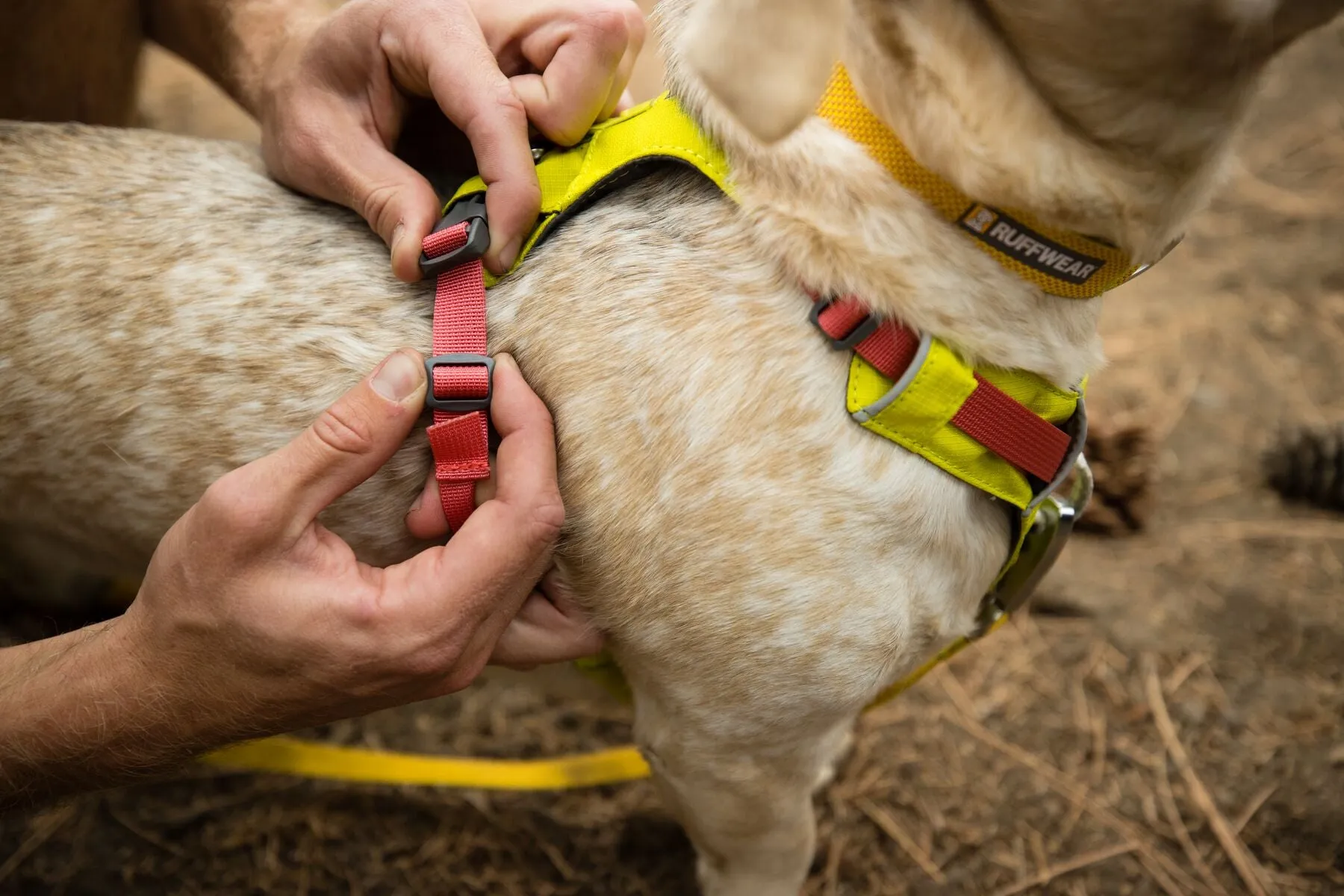 Ruffwear Dog Lightweight Harness: Hi & Light