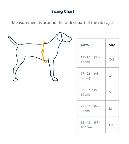 Ruffwear Dog Lightweight Harness: Hi & Light