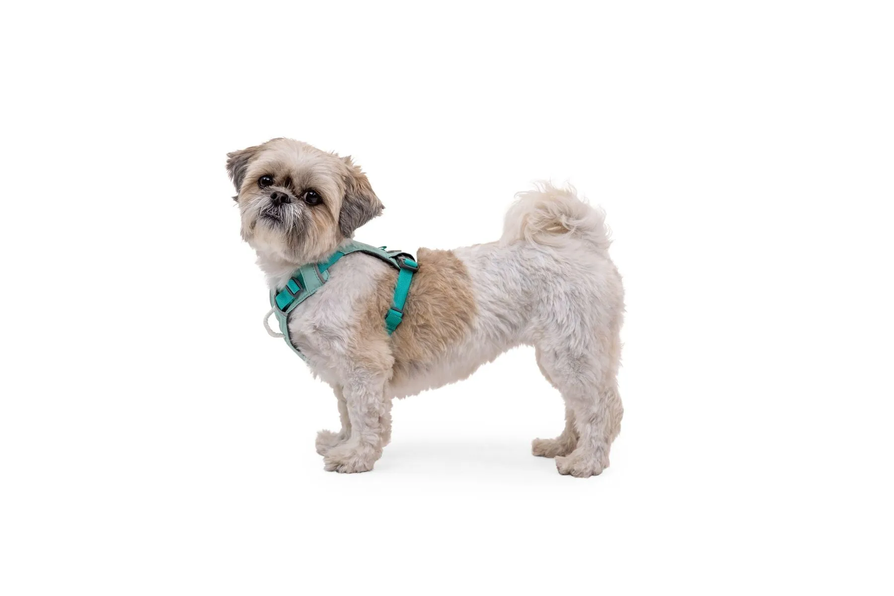 Ruffwear Dog Lightweight Harness: Hi & Light