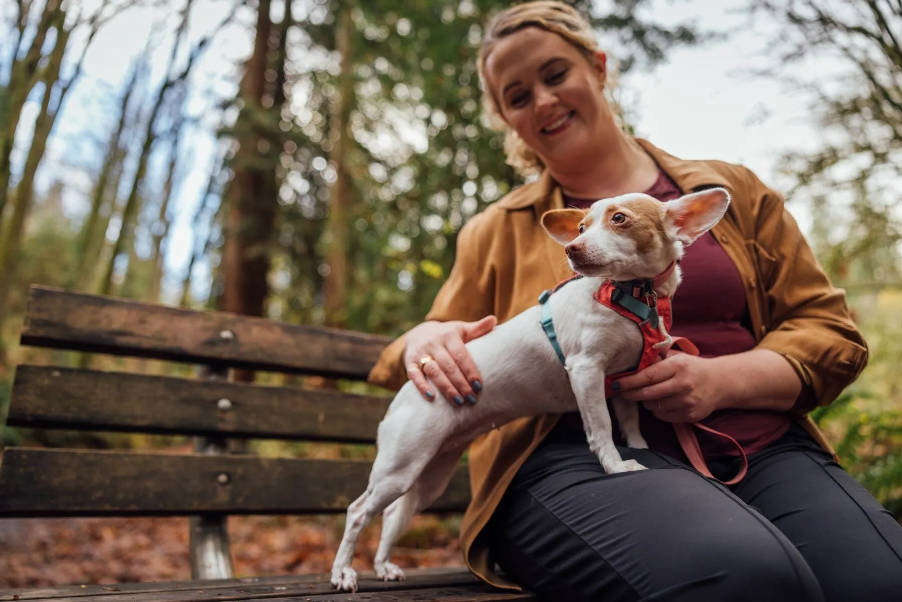 Ruffwear Dog Lightweight Harness: Hi & Light