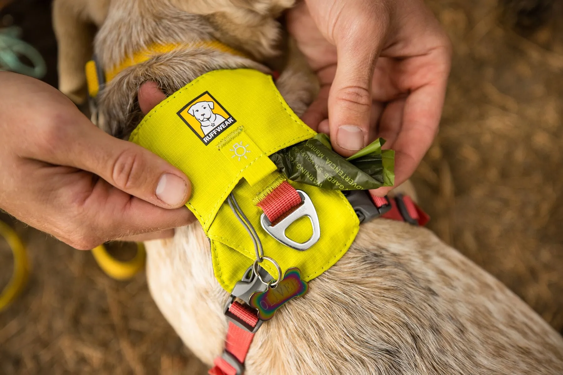 Ruffwear Dog Lightweight Harness: Hi & Light