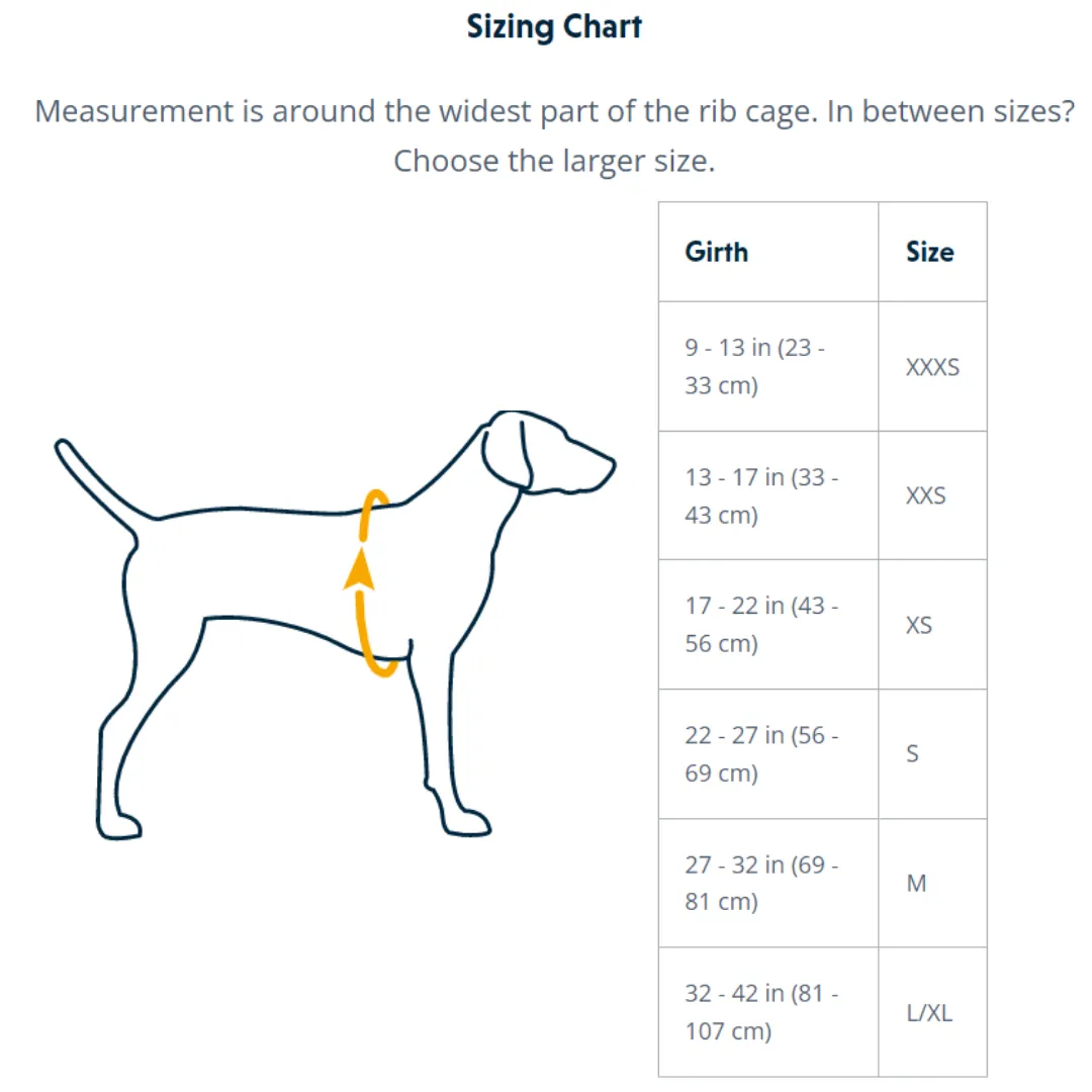 Ruffwear Hi & Light™ Everyday Dog Harness