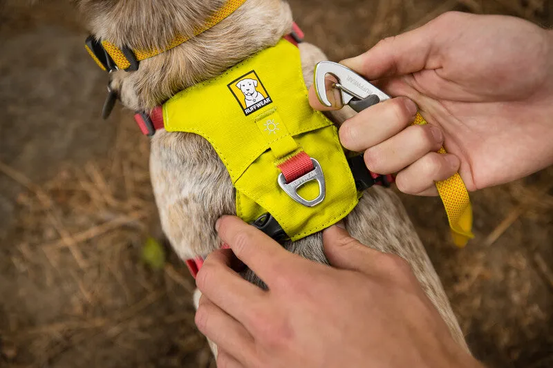 Ruffwear Hi & Light™ Everyday Dog Harness