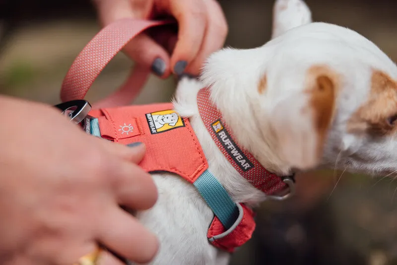 Ruffwear Hi & Light™ Everyday Dog Harness