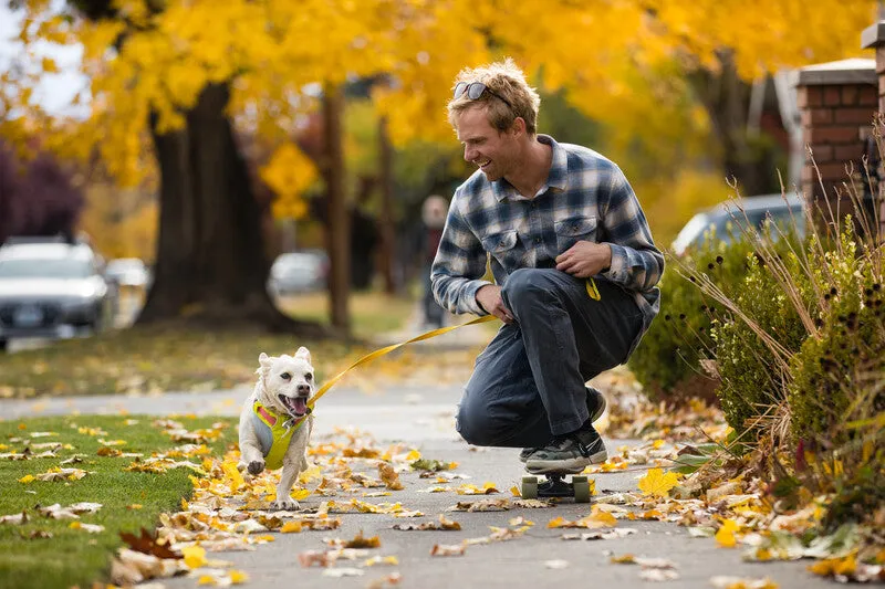 Ruffwear Hi & Light™ Everyday Dog Harness