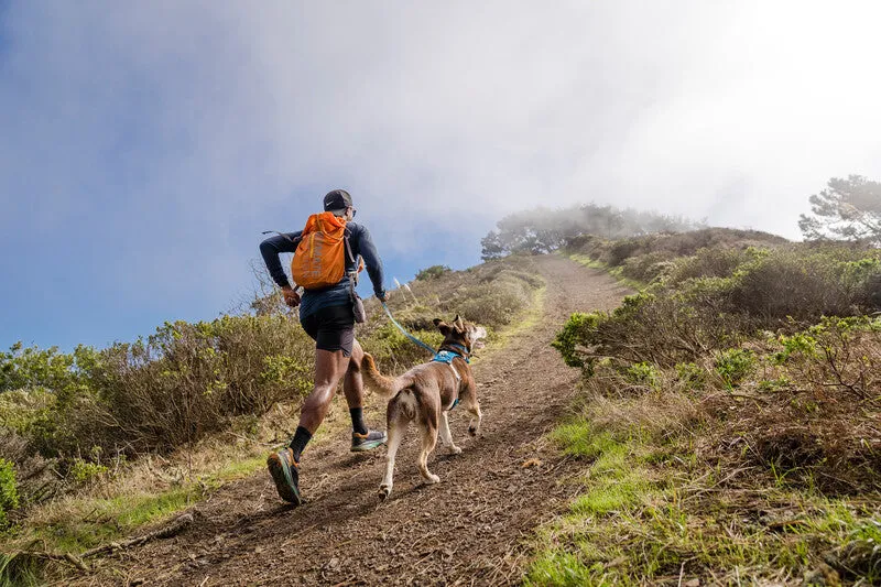 Ruffwear Hi & Light™ Everyday Dog Harness