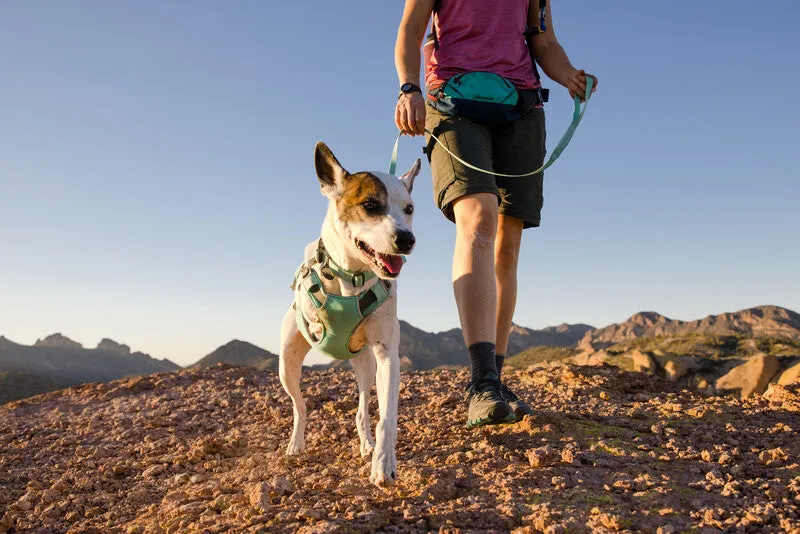 Ruffwear Hi & Light™ Everyday Dog Lead