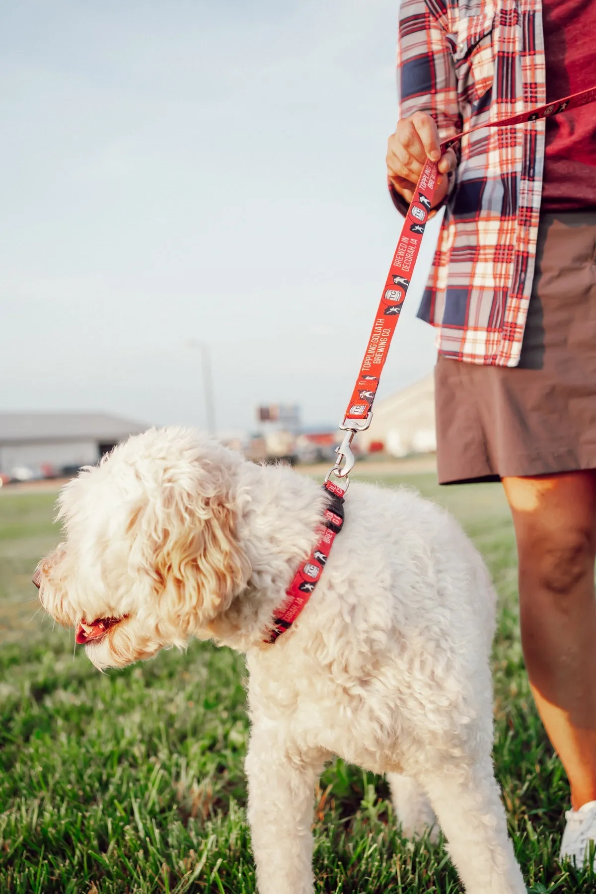 TG Logo Pet Collar